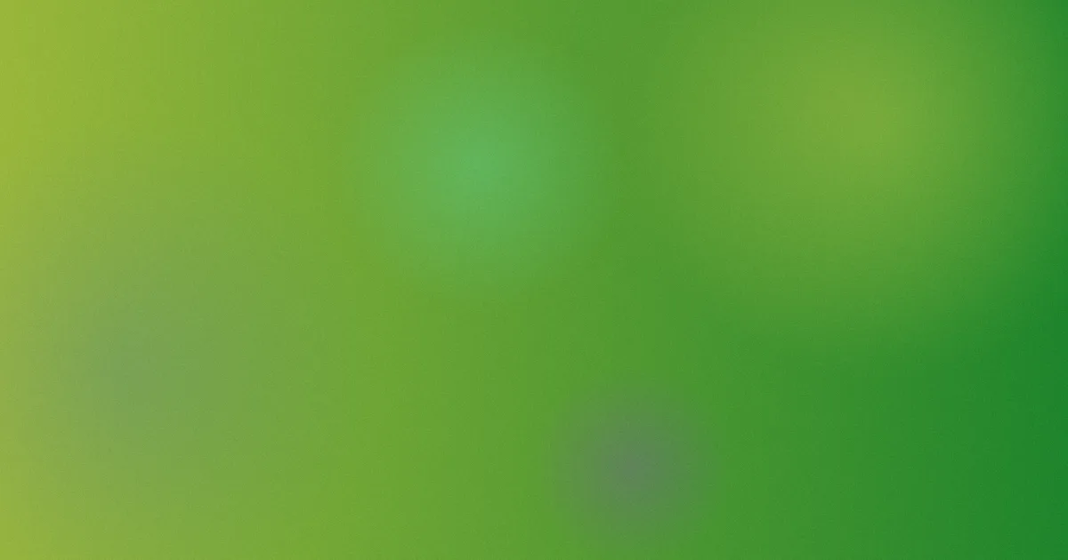 肖战信息怎么用：实测整理法
